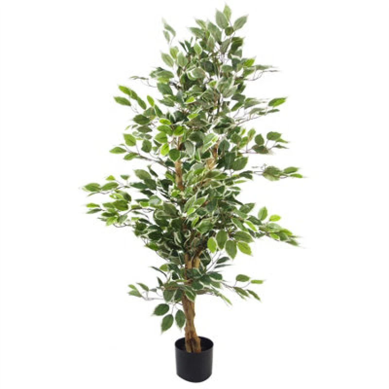 Image of Leaf Design 130cm Artificial Variegated White/Green Bushy Ficus Tree