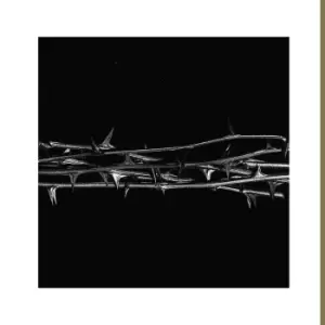 Image of Amenra De doorn CD multicolor