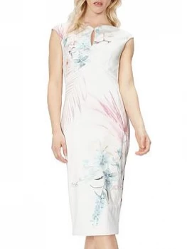 Image of Ted Baker Serendipity Printed Bodycon Dress - Natural, Size 2=10, Women
