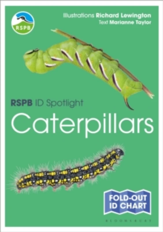 Image of RSPB ID Spotlight - Caterpillars Fold-out book or chart