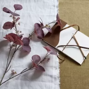 Image of Burgundy Berried Eucalyiptus