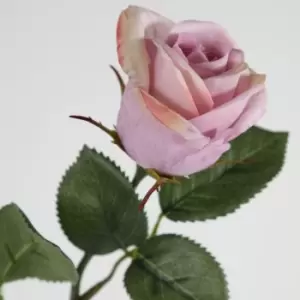 Image of Crossland Grove Rose Stem Lilac (12Pk) 470Mm