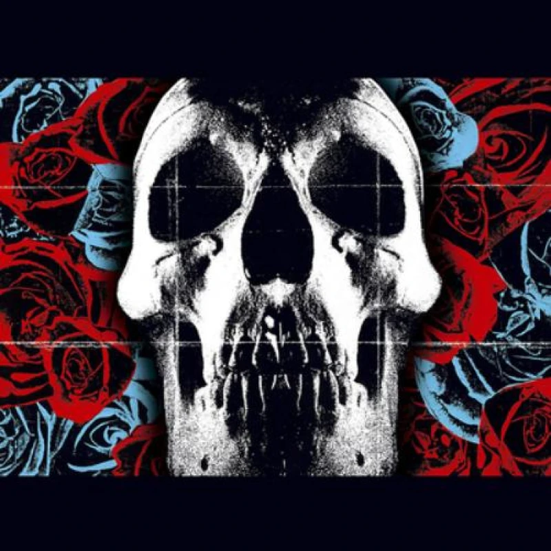 Image of Deftones Vinyl