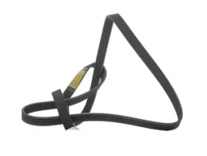Image of RIDEX V-ribbed belt 305P0427 Serpentine belt,Auxiliary belt MERCEDES-BENZ,ALPINE,A-Klasse (W168),A610 Coupe