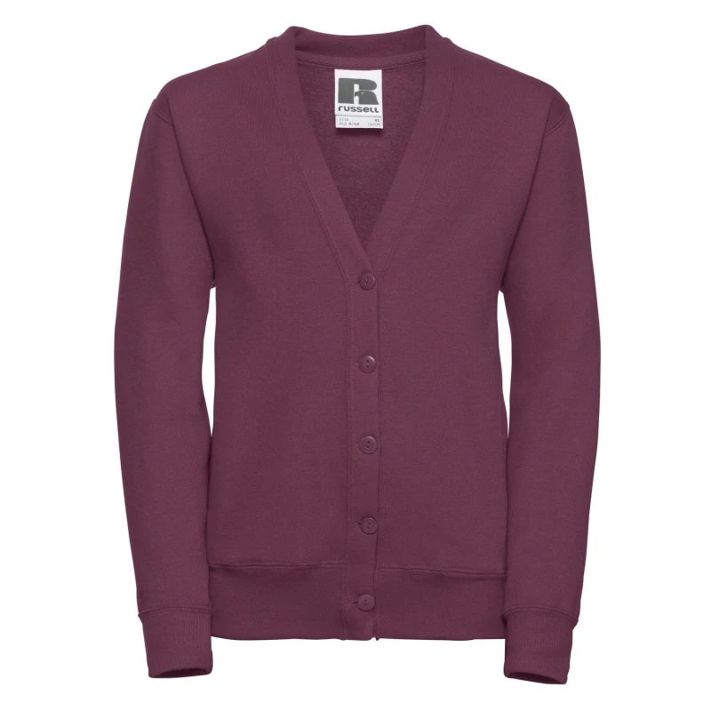 Image of Jerzees Schoolgear J273B boys's in Multicolour