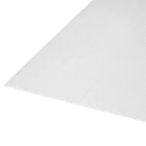 Image of Roof Pro Clear Polycarbonate Twinwall Roofing Sheet (L)2M (W)1000mm (T)10mm