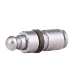 Image of INA Tappet 420 0019 10 Valve Tappet,Engine Tappet BMW,LADA,3 Limousine (E46),3 Touring (E46),3 Coupe (E46),3 Limousine (E36),3 Limousine (E30)