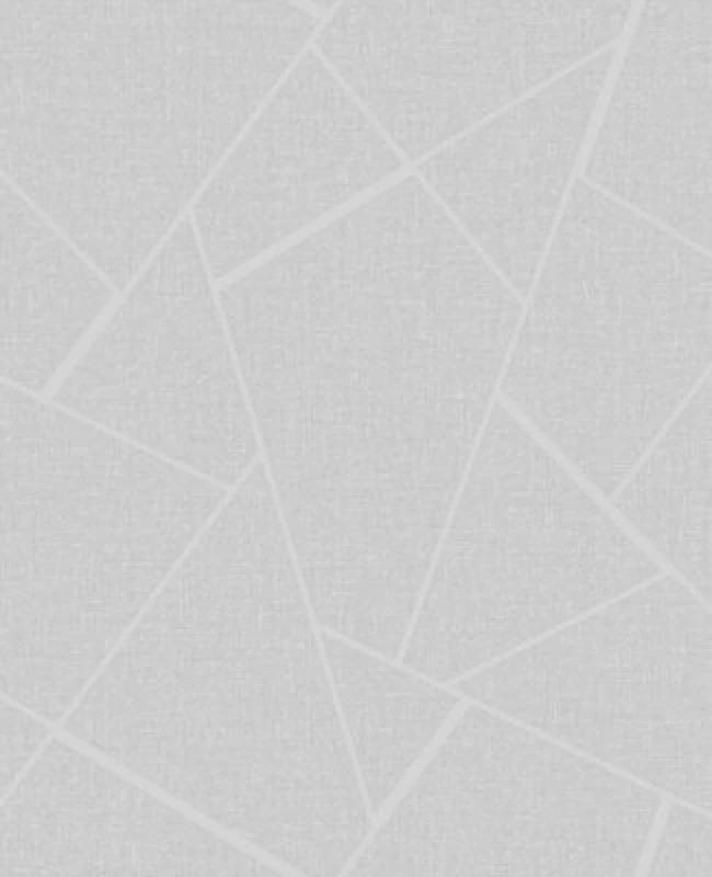 Image of Fine Decor Fine Decor Quartz Fractal Geometric Silver Wallpaper Fd42280