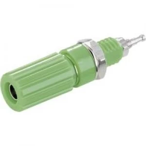 Image of Pole terminal Green 10 A SCI