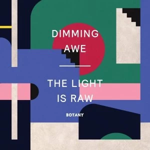 Image of Botany - Dimming Awe The Light Is Raw Vinyl