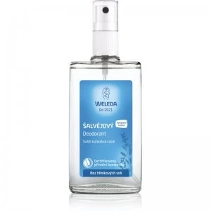 Image of Weleda Sage Deodorant 100ml