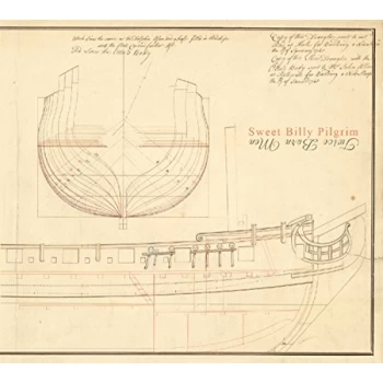 Image of Sweet Billy Pilgrim - Twice Born Men CD
