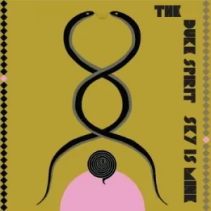 Image of Sky Is Mine by The Duke Spirit Vinyl Album