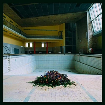 Image of LYR - Call in the Crash Team Vinyl