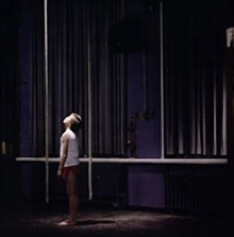 Image of Branches CD / Album