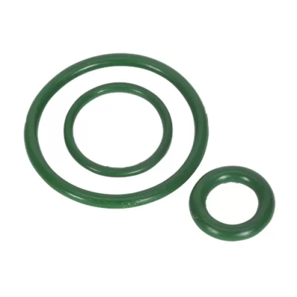 Image of Sealey SCSGRK Viton Seal Kit for SCSG02 & SCSG03