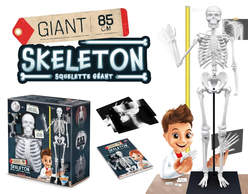 Image of Buki Skeleton - 85cm in White Size: 1 Pack White Unisex 1 Pack