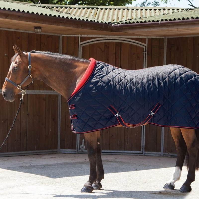 Image of Requisite Essentials Medium Comfort Stable Quilt Navy unisex 5ft9
