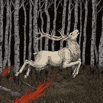 Image of Olhava - Ladoga Vinyl