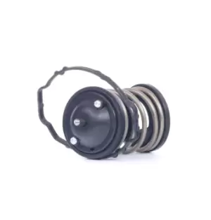 Image of DAYCO Engine thermostat DT1142V Thermostat, coolant,Thermostat BMW,MINI,3 Touring (E91),3 Limousine (E90),5 Limousine (E60),5 Touring (E61)