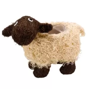 Image of Smart Garden Shelley Sheep