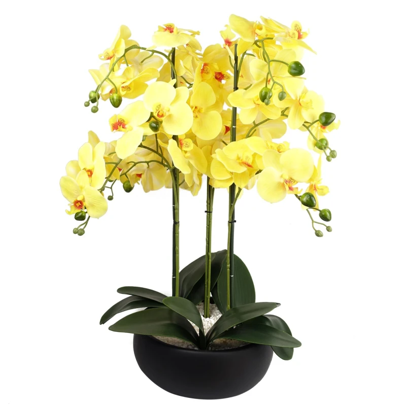Image of Leaf 60cm Orchid Yellow - Black Ceramic Planter Green