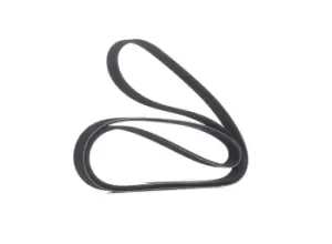 Image of RIDEX V-ribbed belt 305P0308 Serpentine belt,Auxiliary belt OPEL,FORD,FIAT,COMBO Kasten/Kombi (X12),Combo Combi / Tour (X12),TRANSIT MK-7 Kasten