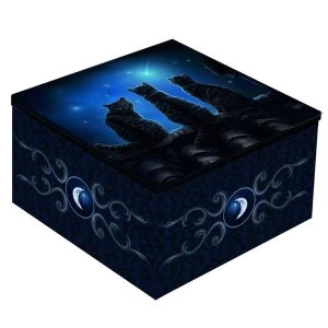 Image of Wish Upon a Star Cats Mirror Box