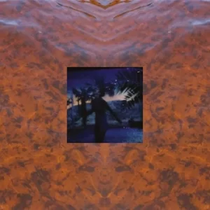 Image of Elyssian Fields by Constantijn Lange Vinyl Album