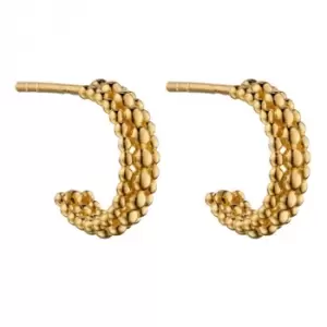 Image of Yellow Gold Plated Multi Bead 3/4 Hoop Earrings E6009