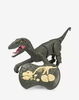 Image of RC Dino Velociraptor 2.4Ghz