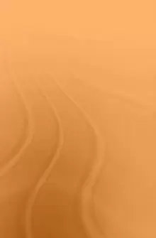 Image of The Dynamics of Japans Relations with AfricaSouth Africa Tanzania and Nigeria