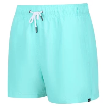 Image of Regatta Mawson Swim Shorts III - Green