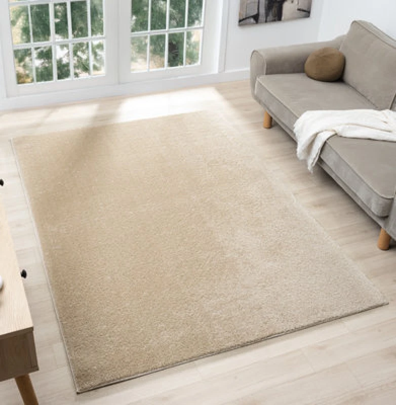 Image of Comfy Washable Low Pile Living Room Area Rug - Anti Slip Felt Backing Light Beige 120Cm X 160Cm
