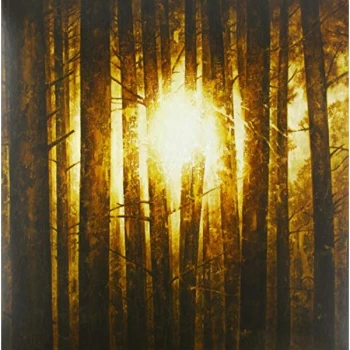 Image of In Mourning - Echoes Vinyl