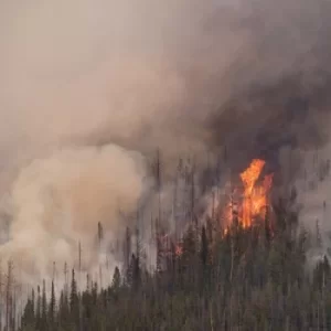 Image of Exegeses by Anicon CD Album