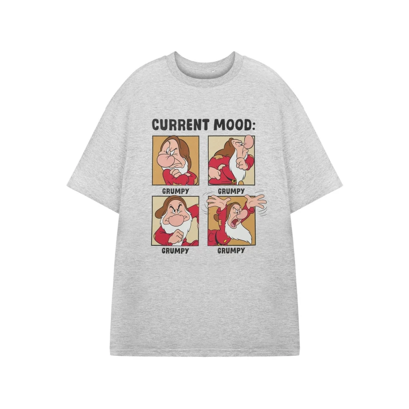 Image of (XXX-Large) Disney Snow White and The Seven Dwarfs Short Sleeved T-Shirt (Mens Grey)