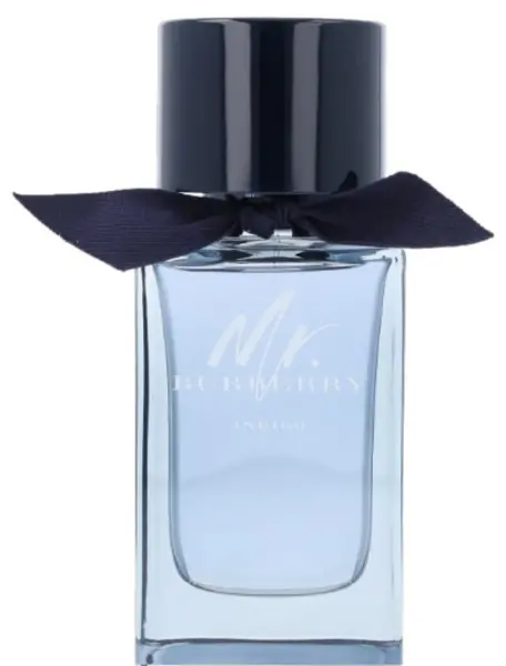 Image of Burberry Mr Burberry Indigo Eau de Toilette For Him 100ml
