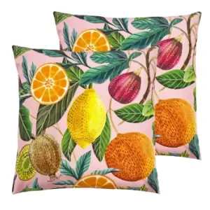Image of Citrus Outdoor Twin Pack Cushion Multi
