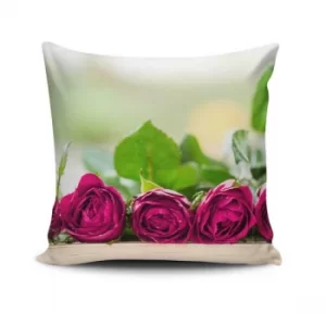 Image of NKLF-246 Multicolor Cushion Cover