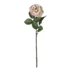 Image of Gallery Interiors Aldona Rose Stem Light Pink / Large Set of 6