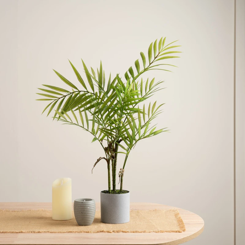 Image of Scottish Everlastings Ltd 66cm Palm in Grey Plastic Pot in Green Green Unisex
