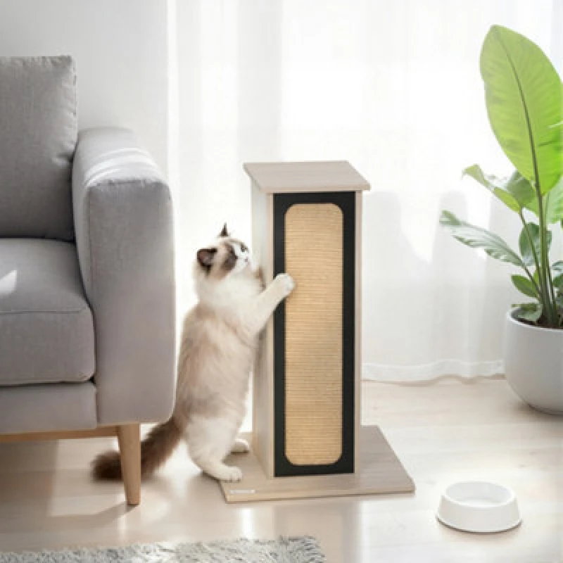 Image of Pawhut 63Cm Cat Scratching Post, Scratcher W/ Replaceable Scratching Board
