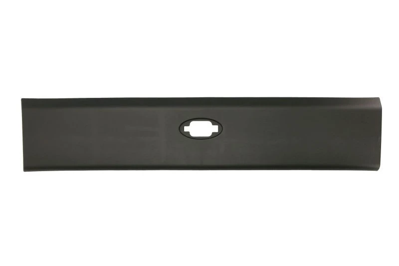Image of BLIC 5703-06-6089573P Body side molding Body side molding (1003)