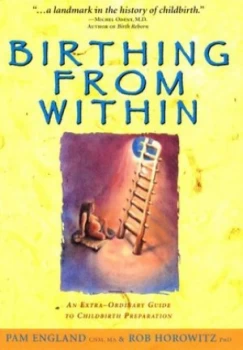 Image of Birthing from within by Pam England Paperback