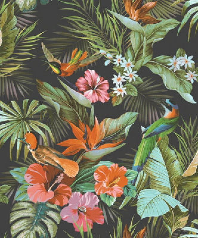 Image of RASCH Rasch Paradise Birds Black Wallpaper 539059 WL-539059