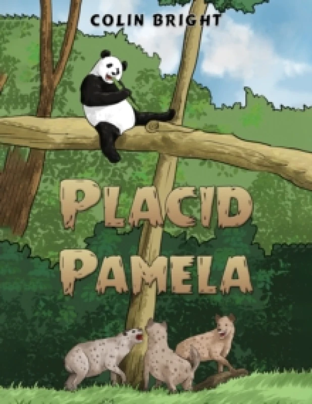 Image of Placid Pamela Paperback / softback