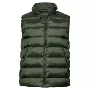 Image of Tee Jays Unisex Adult Lite Body Warmer (S) (Deep Green)