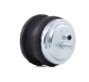 Image of REINHOCH Engine mount RH11-3027 Motor mount,Engine mounting bracket BMW,5 Limousine (E39),5 Touring (E39)