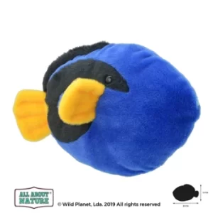 Image of Regal Tang (All About Nature) 25cm Plush